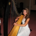 Harp Competitor